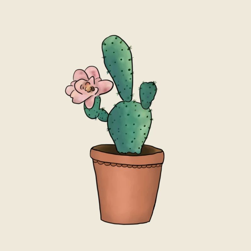 Kaktusblüte