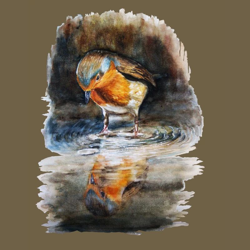 robin