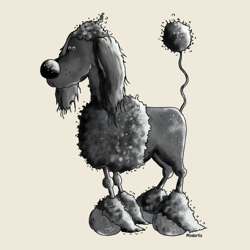 Dufter Pudel - Hund