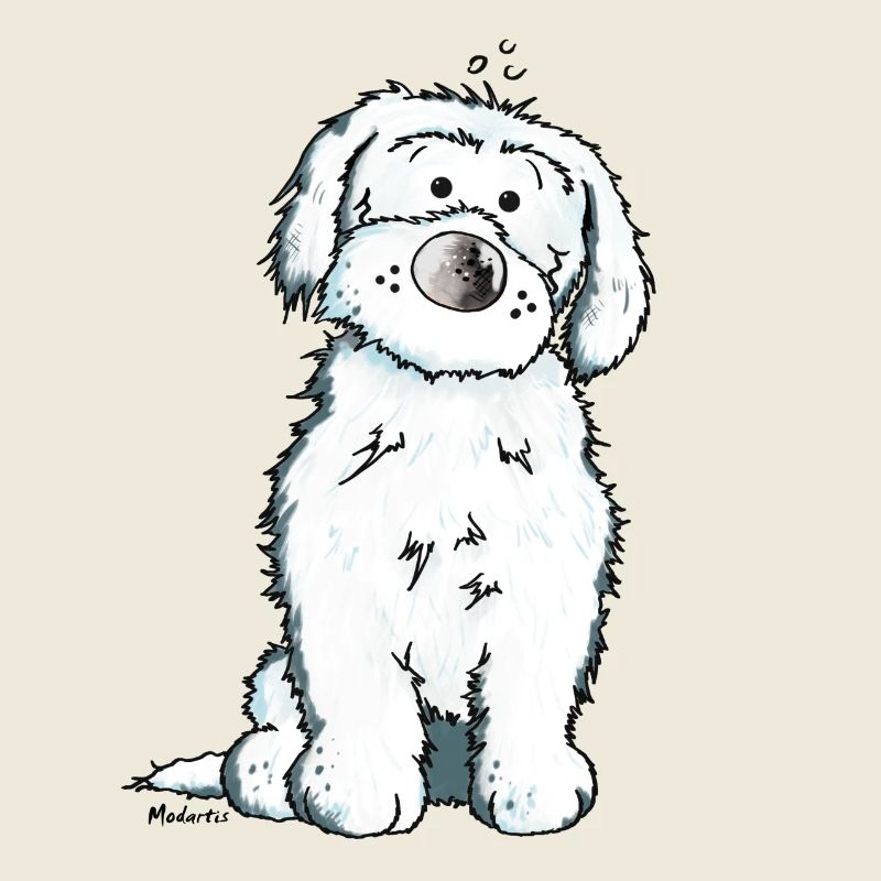 Pfiffiger Malteser - Hund
