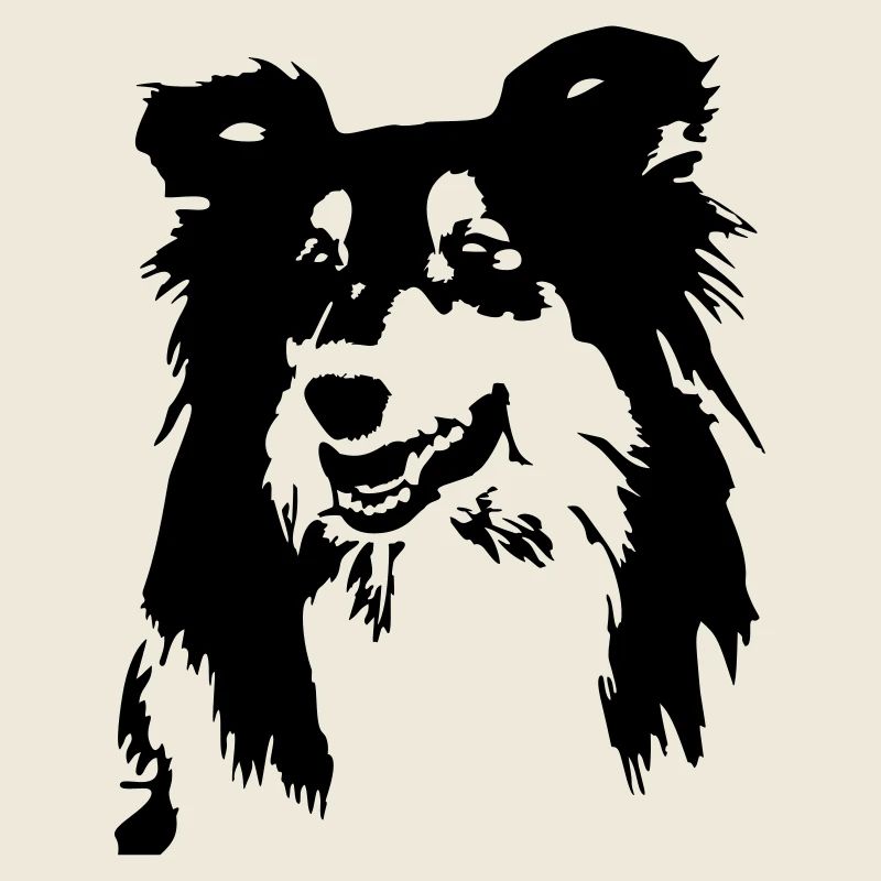 Collie Kopf