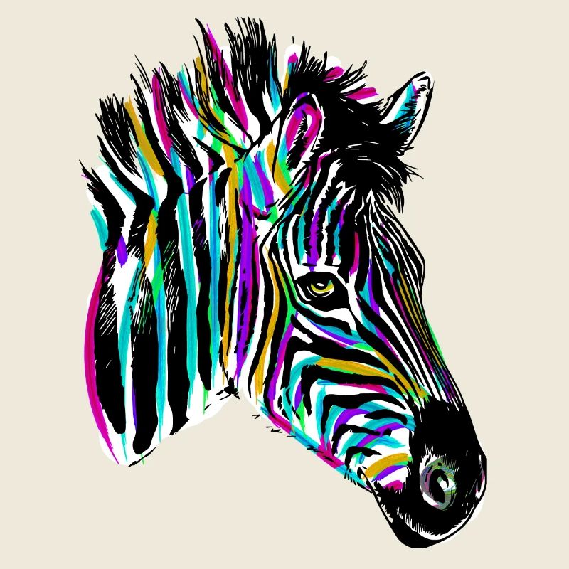 Colorful Zebra - Colored Zebra