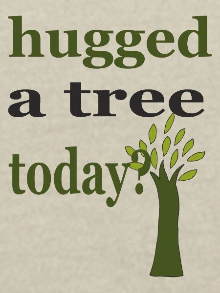 hugged a tree