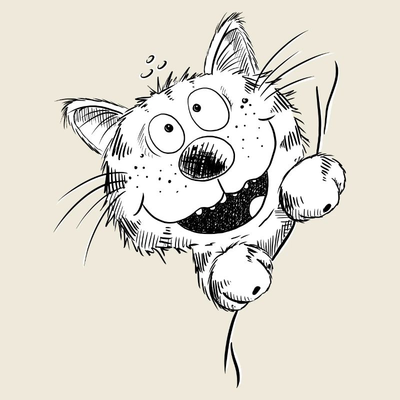 Drôle de chat rit