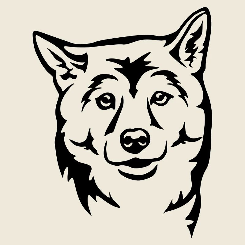 Shiba Kopf