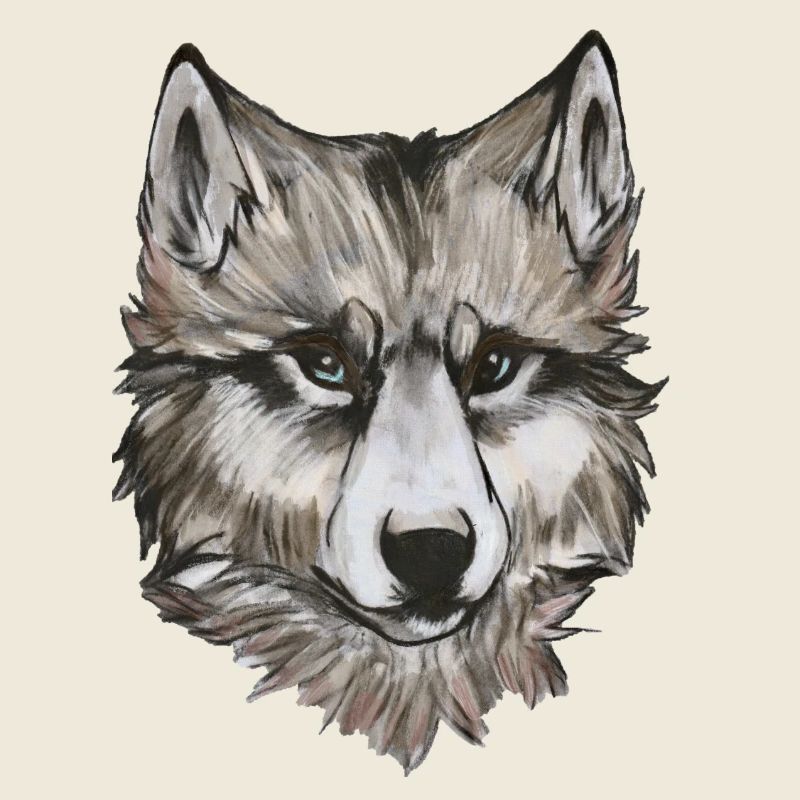 Wolf Portrait – realistische Tier Illustration