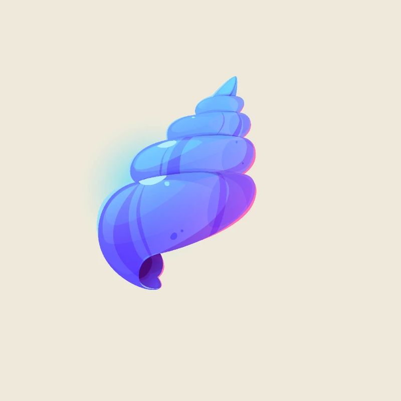 Coquillage tropical