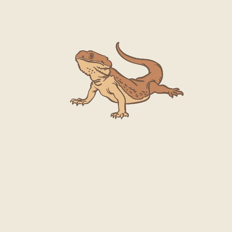 Dragon barbu
