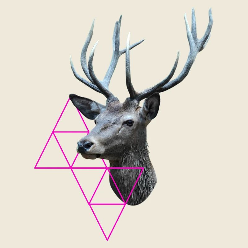 Cerf hipster