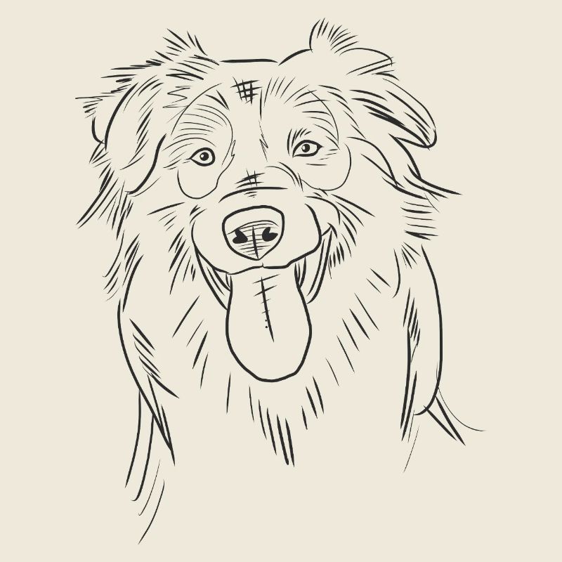 Lustige Australian Shepherd Aussie Skizze Strichkunst