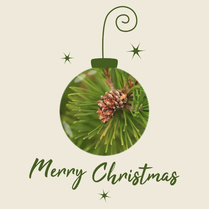 Grüne Weihnachtskugel mit Tannenzapfen
