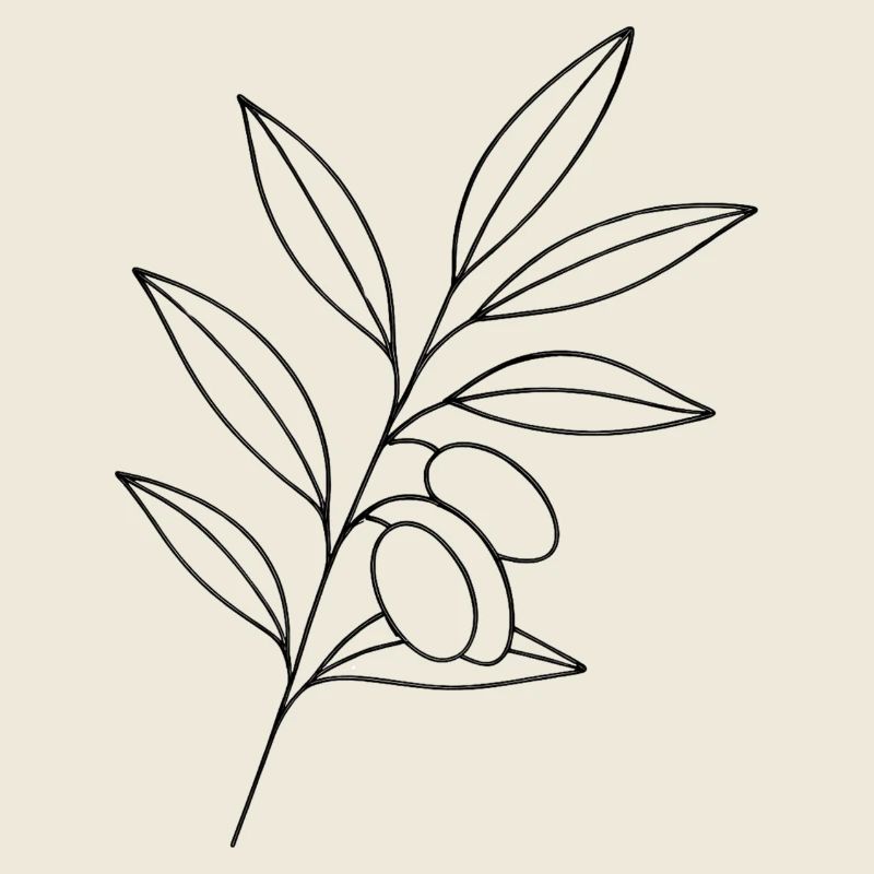 Olivenzweig Linienkunst
