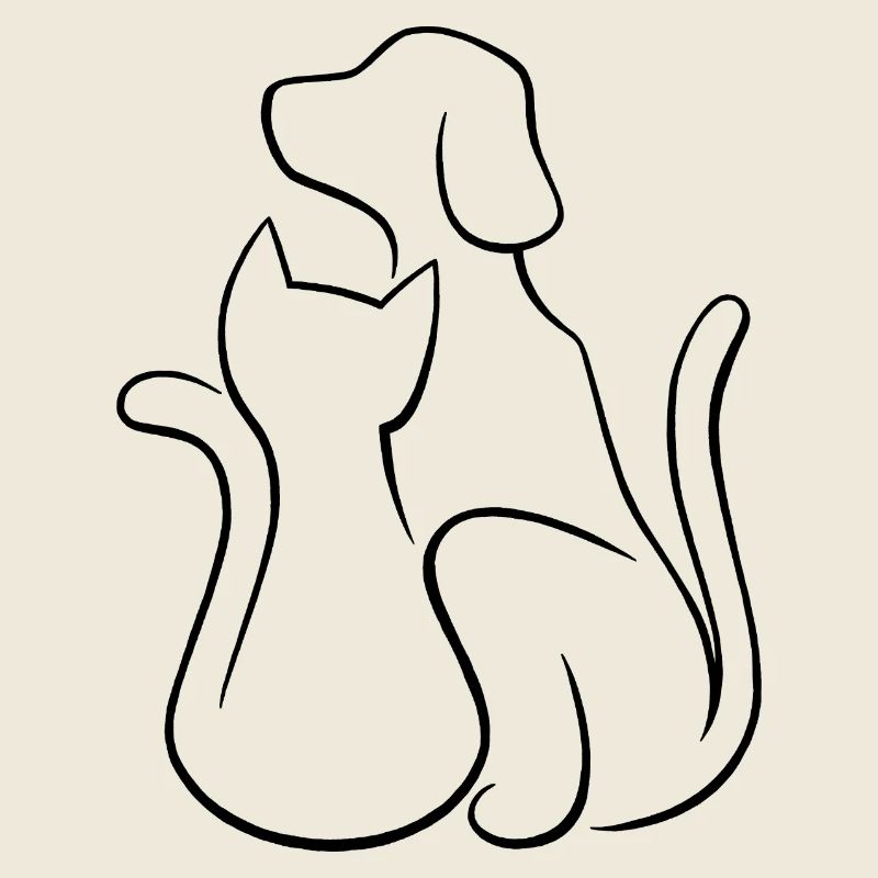 Hund und Katze Tierliebe