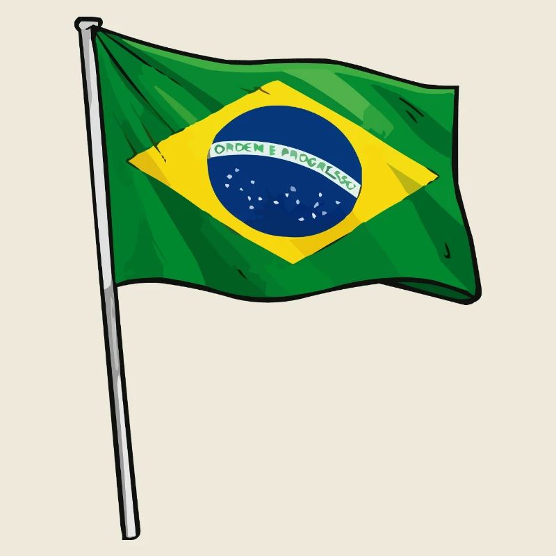 Brazilian flag art
