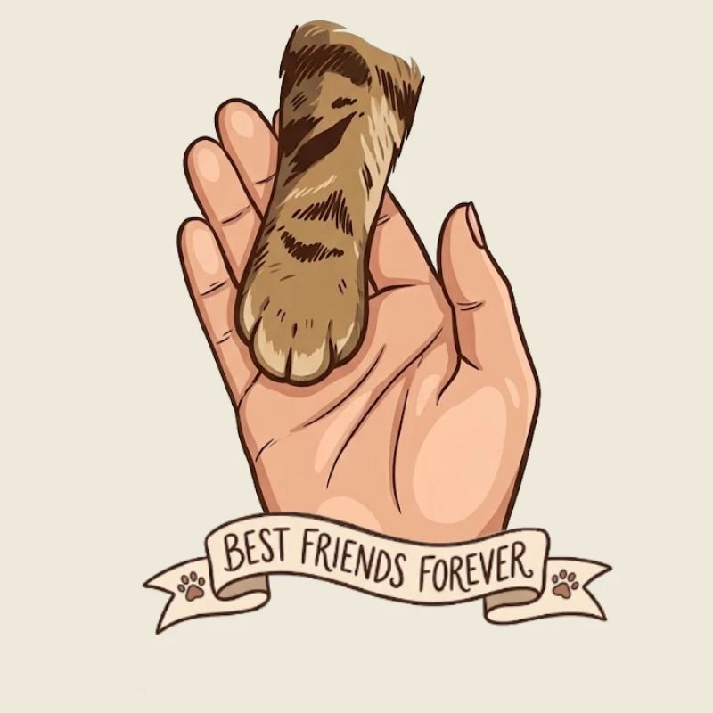 Meilleurs amis pour la vie