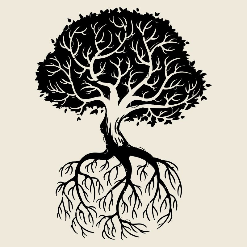 Roots