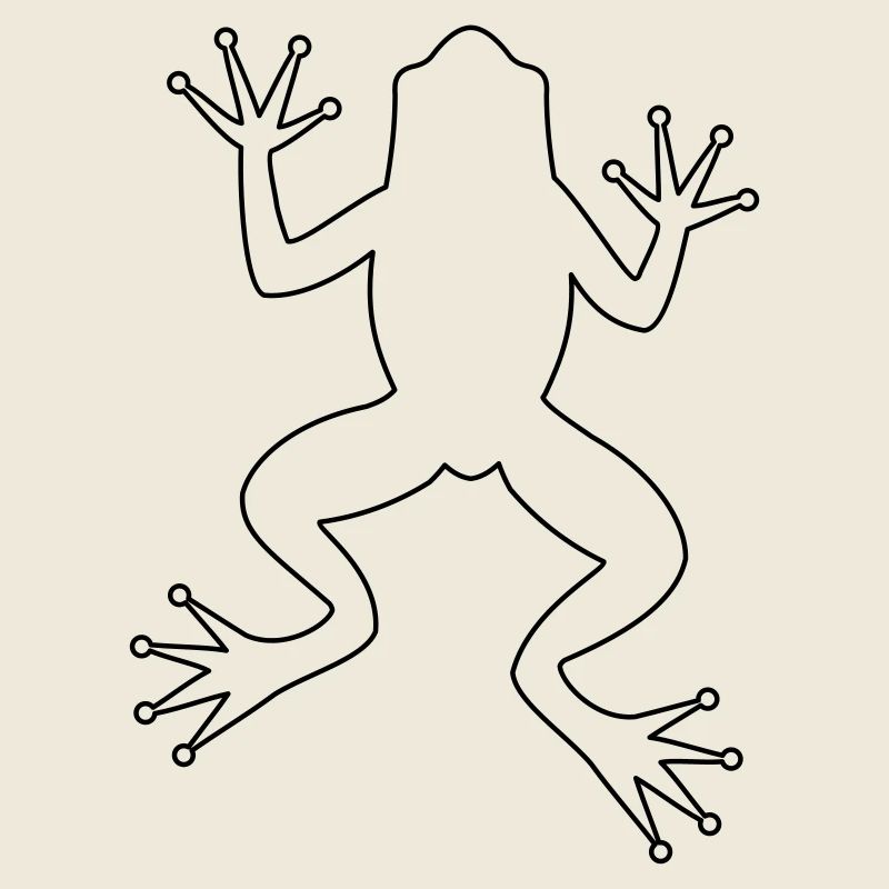 Grenouille crapaud