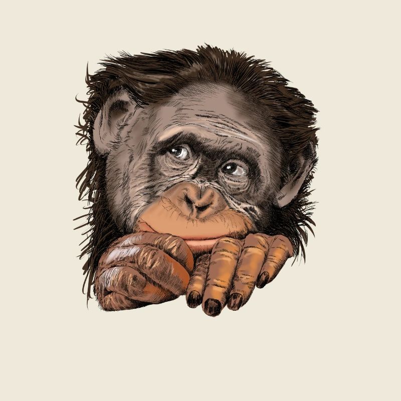 Affe