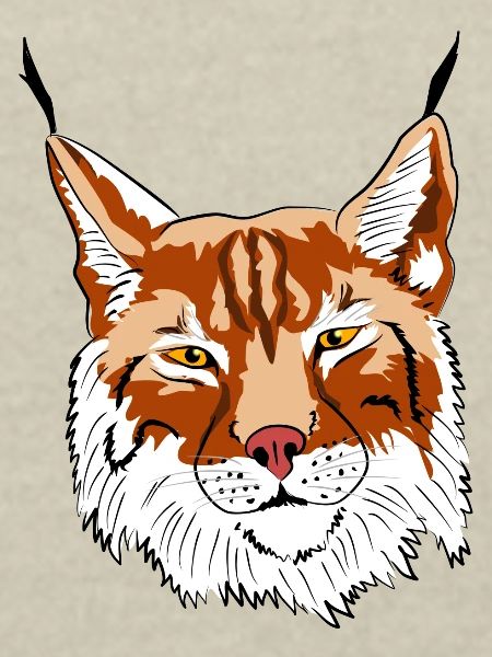lynx