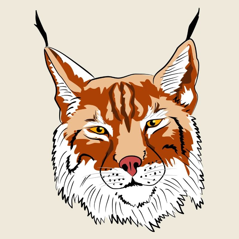 luchs raubtier raubkatze