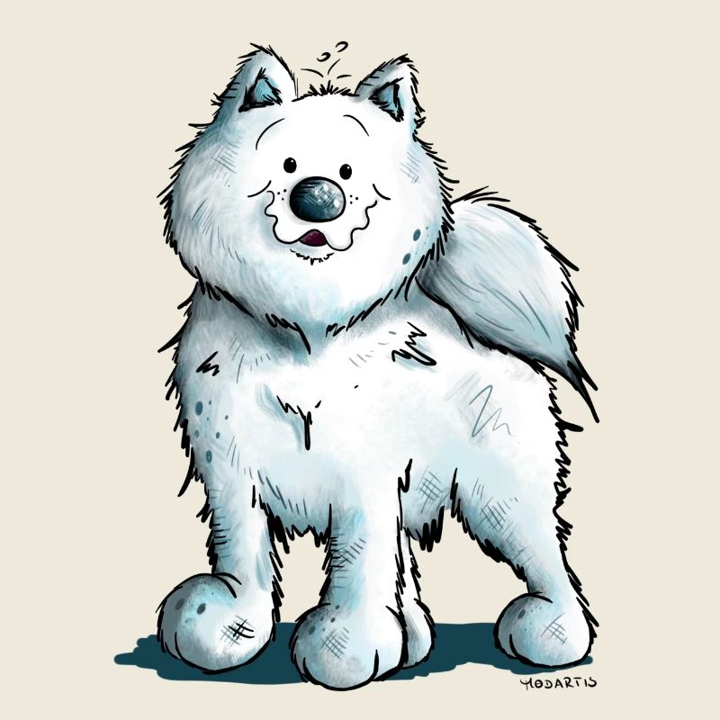 Sweet Samoyed Dog