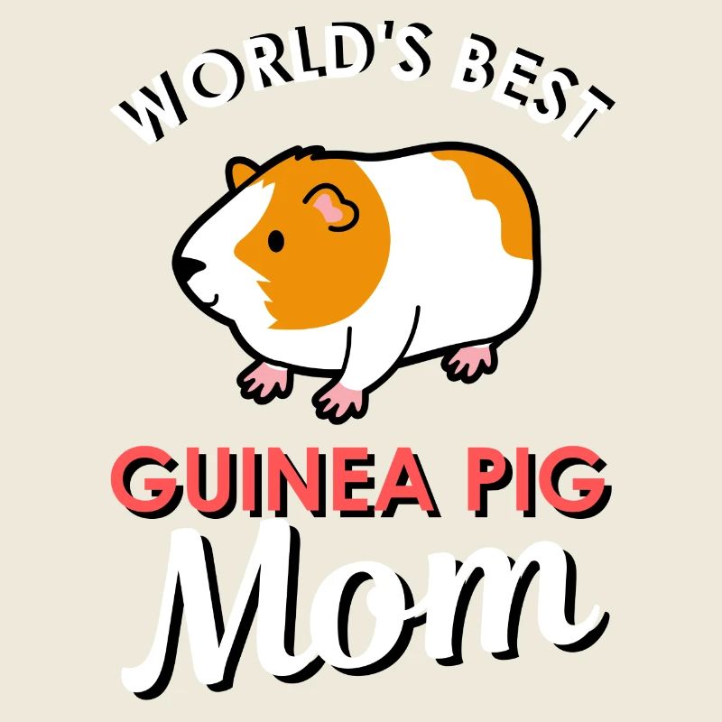 guinea pig