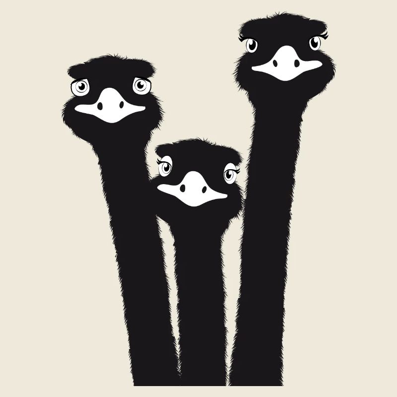 Nandu, tête d’autruche, émeu, autruche