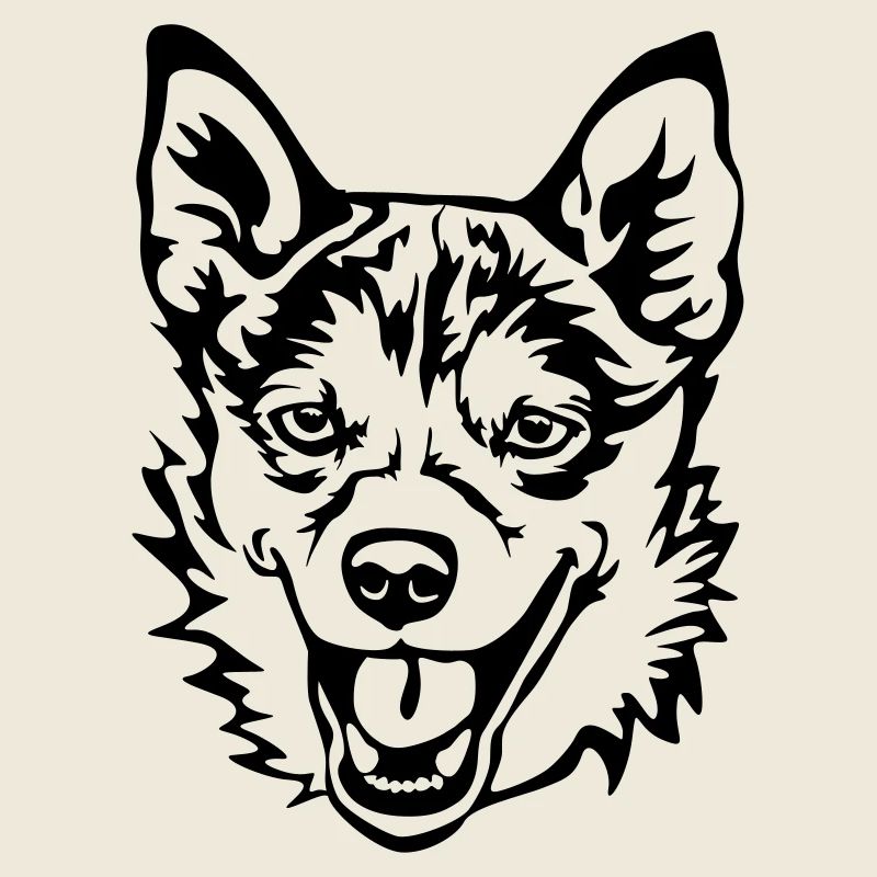Norwegian Lundehund