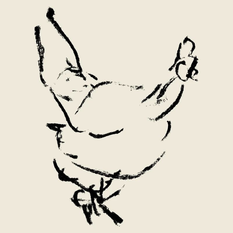 Poule - Dessin / POULET