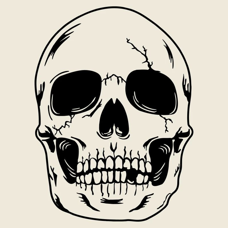 Schädelkopf des Skeletts