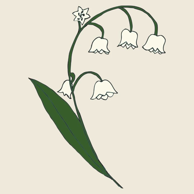 muguet