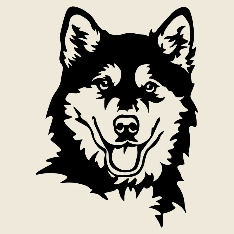 Alaskan Malamute Kopf