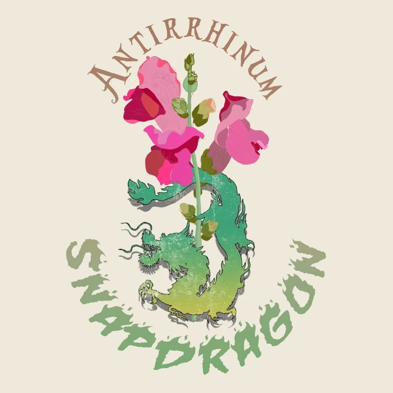 Drachenblumen