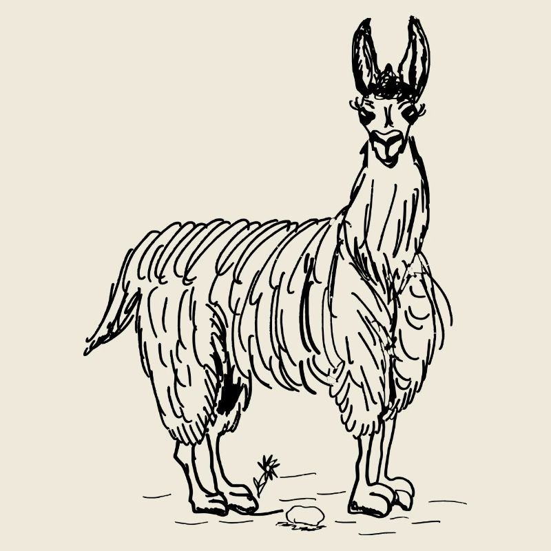 lama