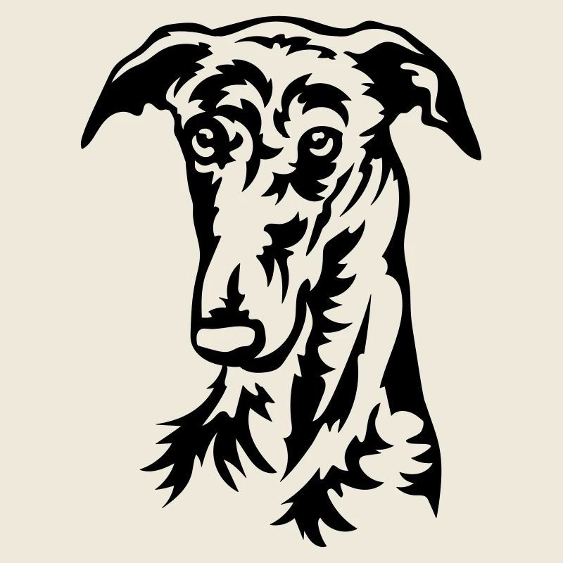 Galgo Kopf