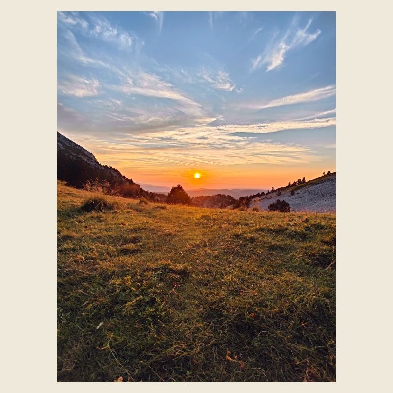coucher de soleil dorée sur prairie alpine