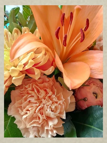 Warmes orangefarbenes Blumenmuster