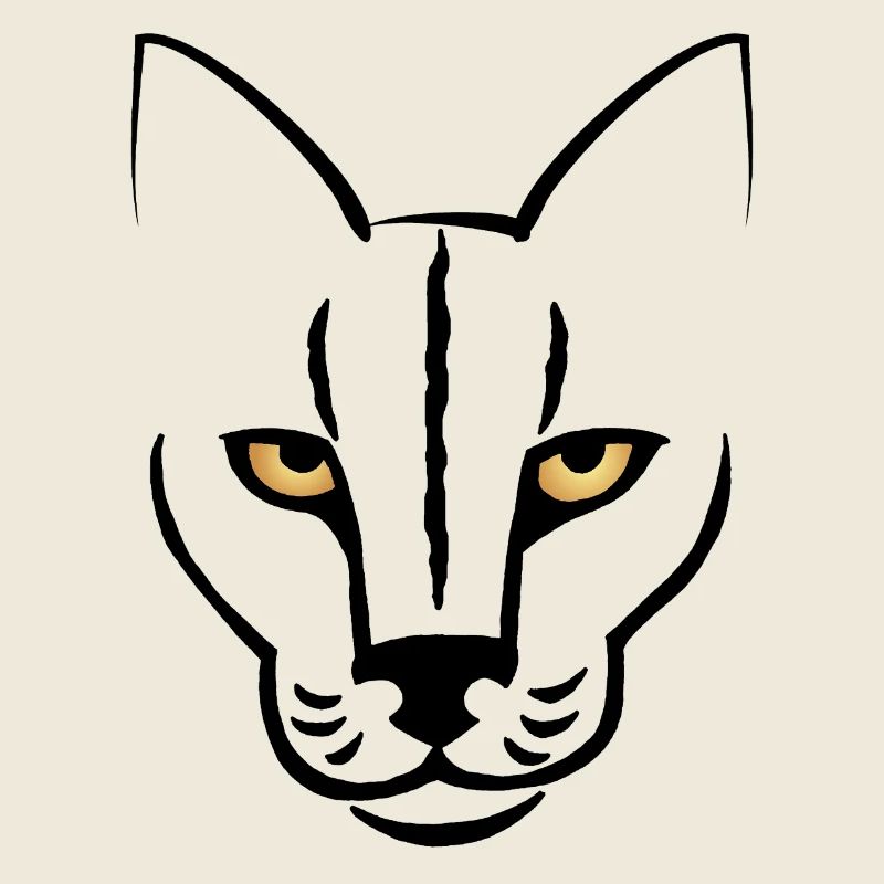 Le regard du chat