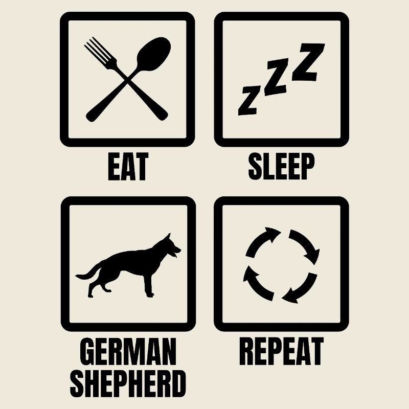 Routine quotidienne du berger allemand