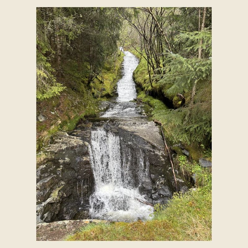 Naturpark Wasserfall Design