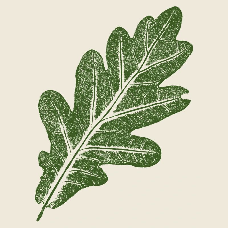 Oak Leaf / Green