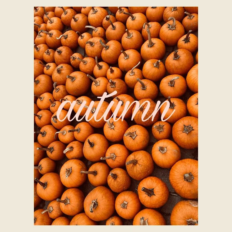 Herbst Autumn pumpkin