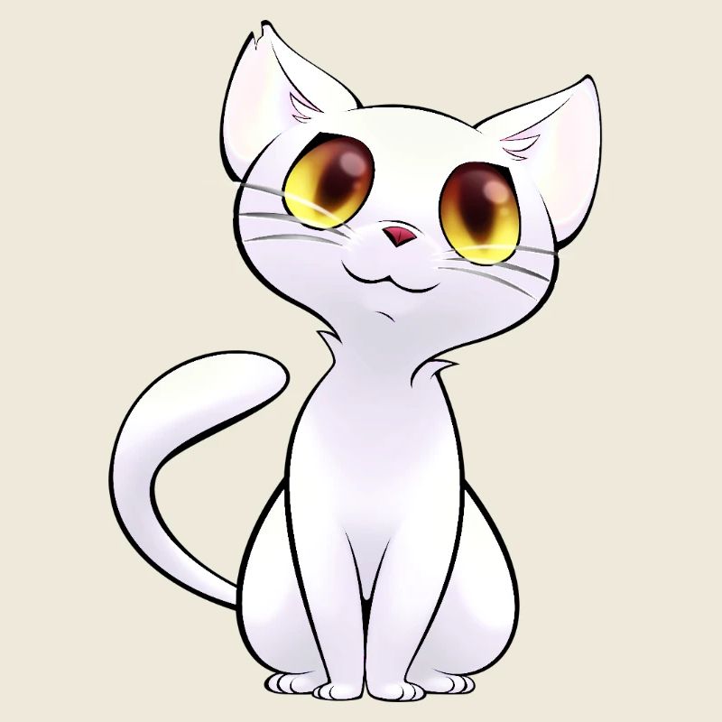 Chaton blanc aux yeux dorés
