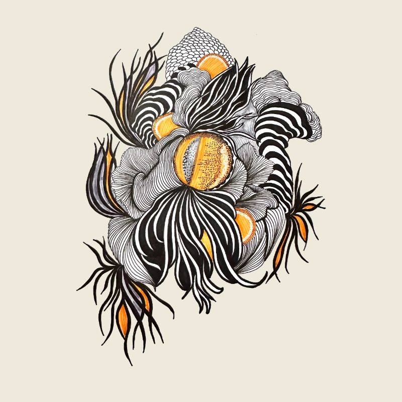 Noir Blossoms Accents d’orange