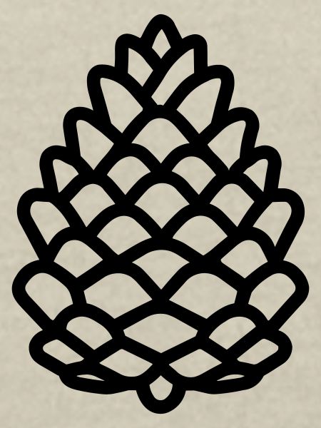 Pine Cone