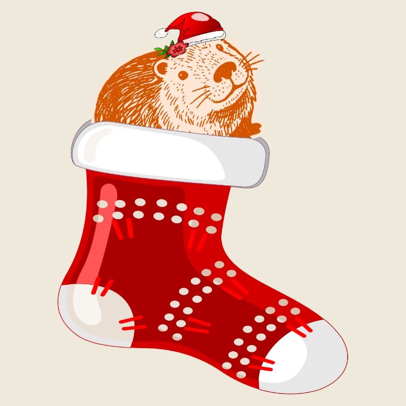 WEIHNACHTSMANN WEIHNACHTSSTRÜMPFE CAPYBARA