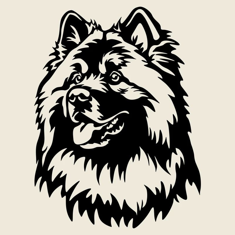 Eurasier Kopf
