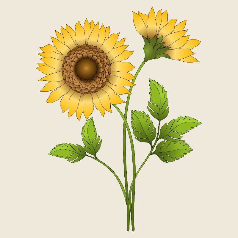 Fleur