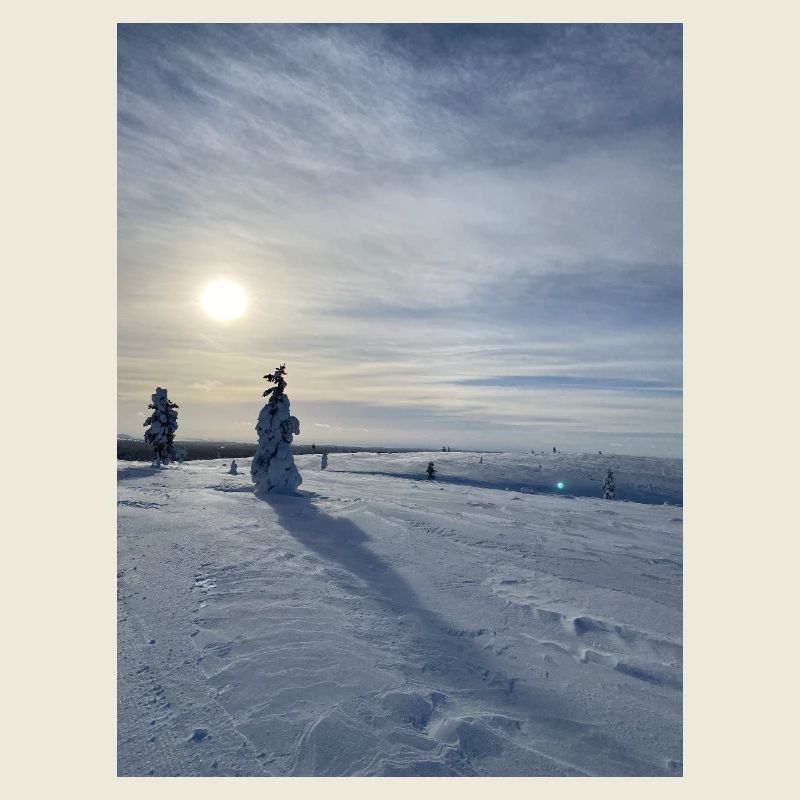 Winter landscape in the sun