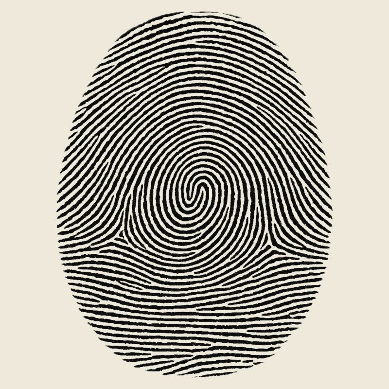 Fingerprint Pattern Noir